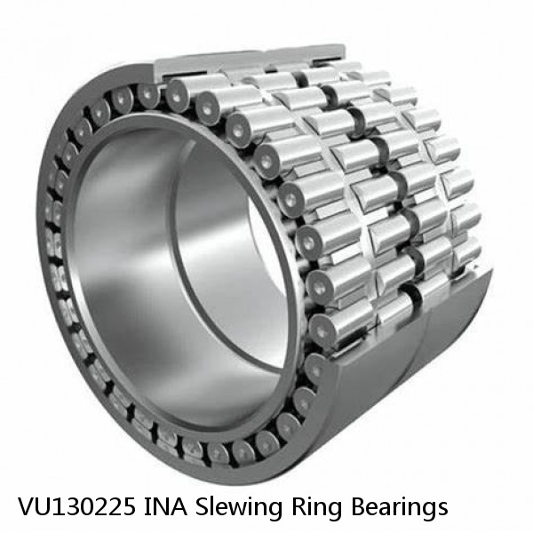 VU130225 INA Slewing Ring Bearings
