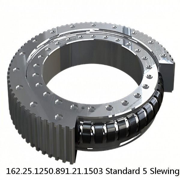 162.25.1250.891.21.1503 Standard 5 Slewing Ring Bearings
