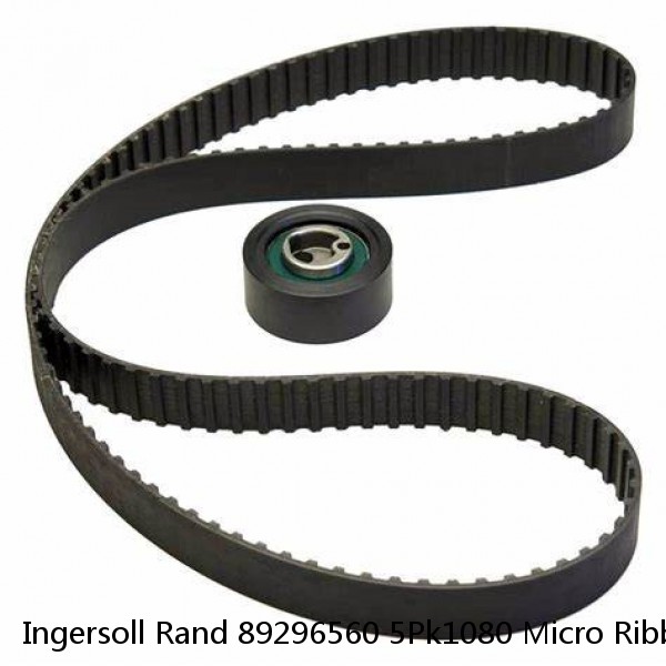 Ingersoll Rand 89296560 5Pk1080 Micro Ribbed V-Belt, Outside Length 42-1/2"