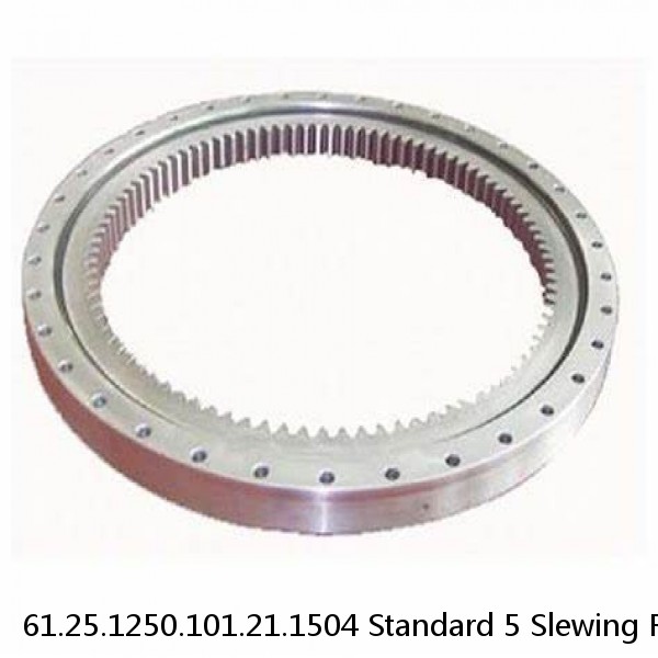 61.25.1250.101.21.1504 Standard 5 Slewing Ring Bearings