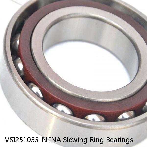 VSI251055-N INA Slewing Ring Bearings