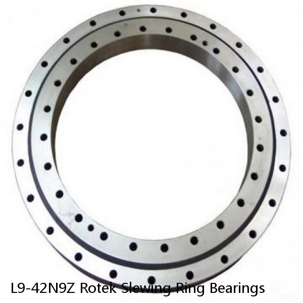 L9-42N9Z Rotek Slewing Ring Bearings