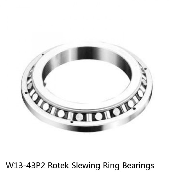 W13-43P2 Rotek Slewing Ring Bearings