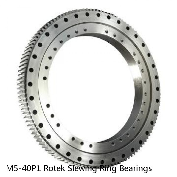 M5-40P1 Rotek Slewing Ring Bearings