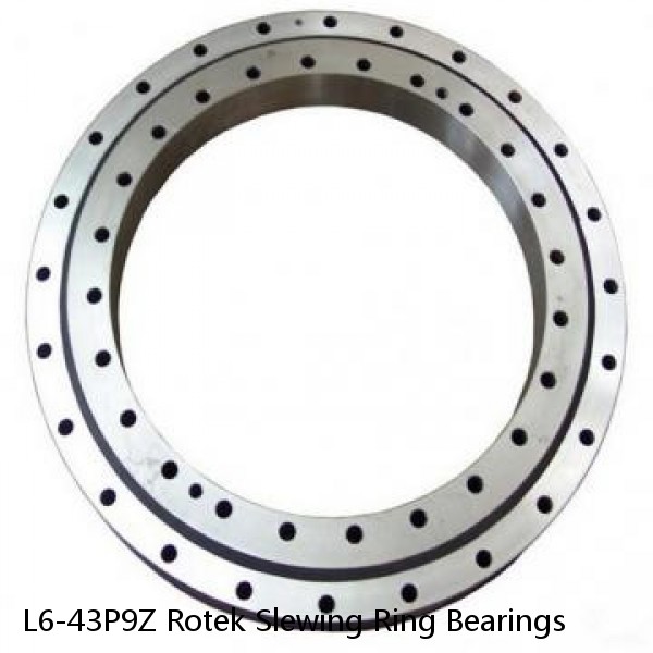 L6-43P9Z Rotek Slewing Ring Bearings