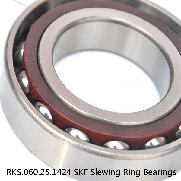 RKS.060.25.1424 SKF Slewing Ring Bearings