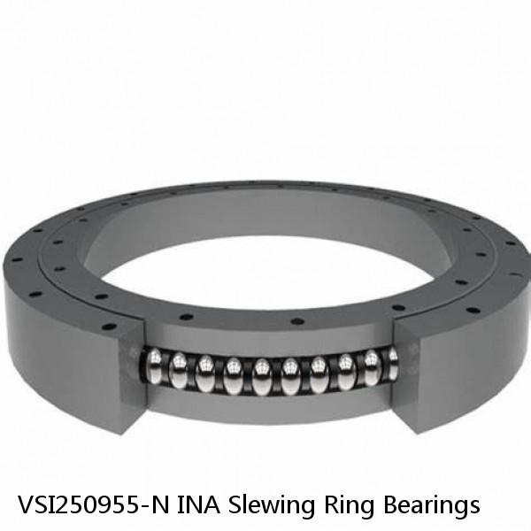 VSI250955-N INA Slewing Ring Bearings