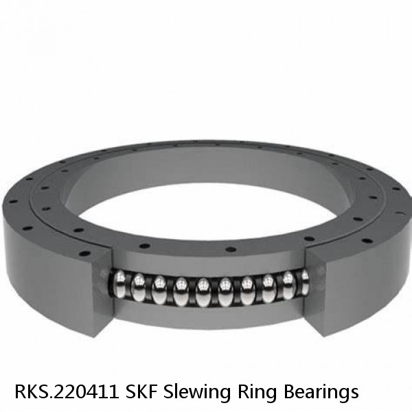 RKS.220411 SKF Slewing Ring Bearings