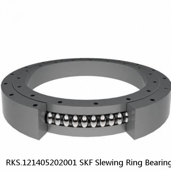 RKS.121405202001 SKF Slewing Ring Bearings