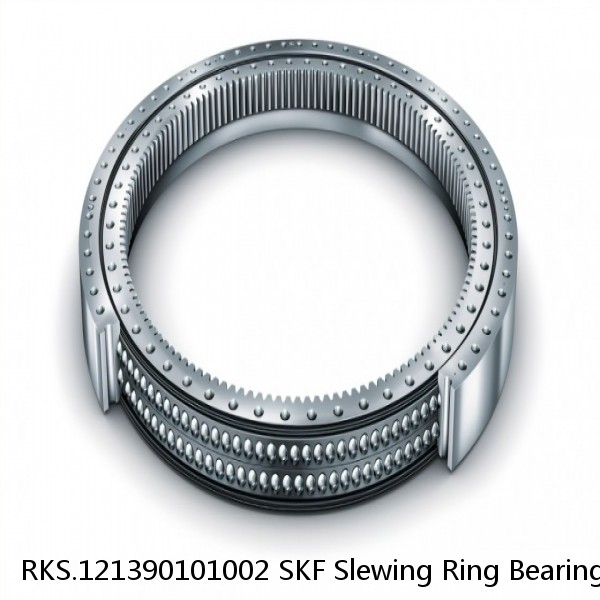 RKS.121390101002 SKF Slewing Ring Bearings