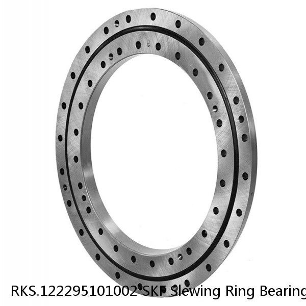 RKS.122295101002 SKF Slewing Ring Bearings