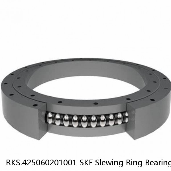 RKS.425060201001 SKF Slewing Ring Bearings