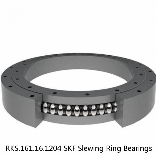 RKS.161.16.1204 SKF Slewing Ring Bearings