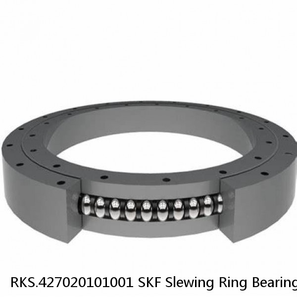 RKS.427020101001 SKF Slewing Ring Bearings