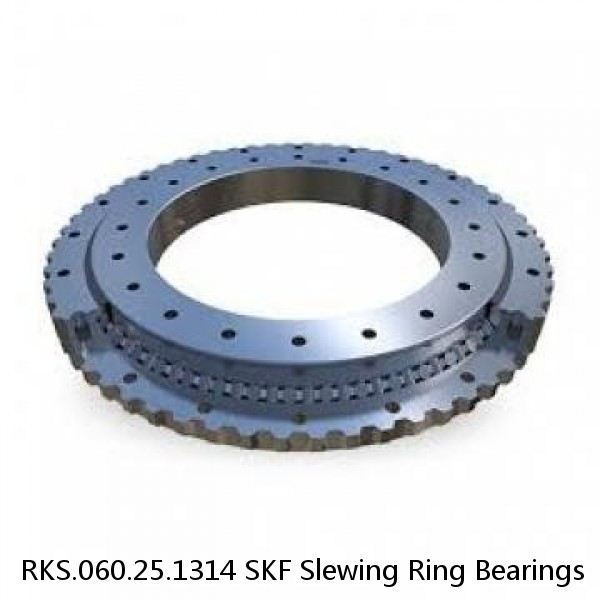 RKS.060.25.1314 SKF Slewing Ring Bearings