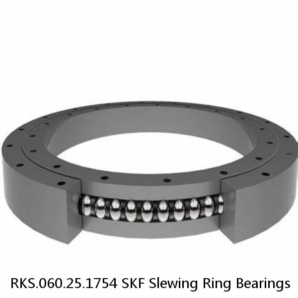 RKS.060.25.1754 SKF Slewing Ring Bearings