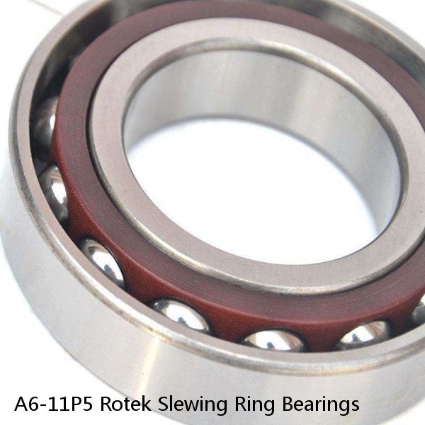 A6-11P5 Rotek Slewing Ring Bearings