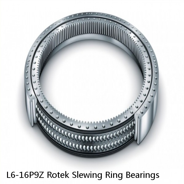 L6-16P9Z Rotek Slewing Ring Bearings