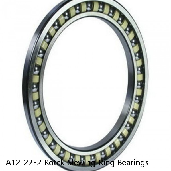 A12-22E2 Rotek Slewing Ring Bearings