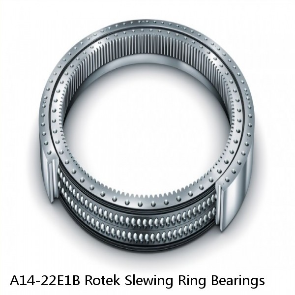 A14-22E1B Rotek Slewing Ring Bearings