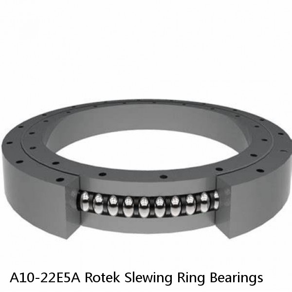 A10-22E5A Rotek Slewing Ring Bearings