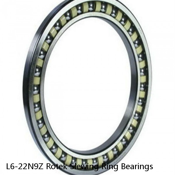 L6-22N9Z Rotek Slewing Ring Bearings