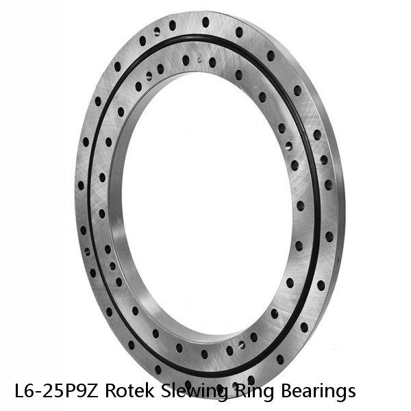 L6-25P9Z Rotek Slewing Ring Bearings