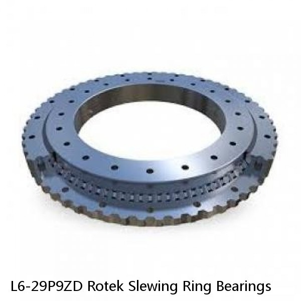 L6-29P9ZD Rotek Slewing Ring Bearings