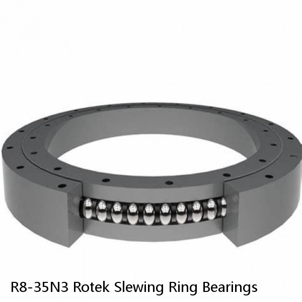 R8-35N3 Rotek Slewing Ring Bearings