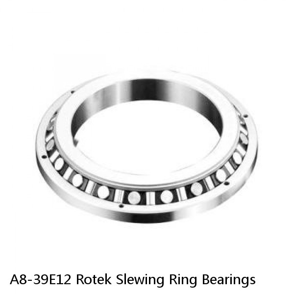 A8-39E12 Rotek Slewing Ring Bearings