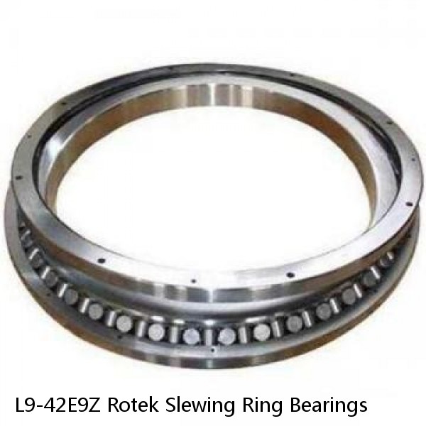 L9-42E9Z Rotek Slewing Ring Bearings