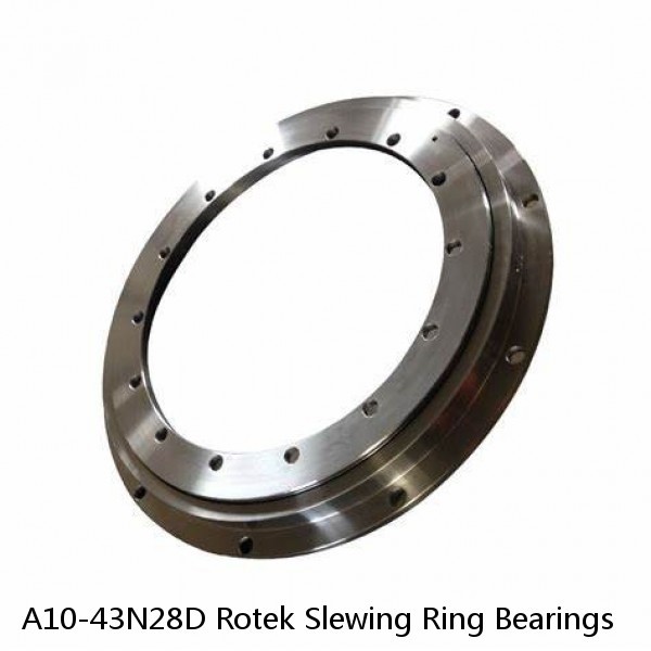 A10-43N28D Rotek Slewing Ring Bearings