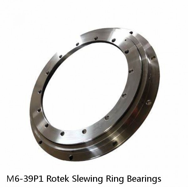 M6-39P1 Rotek Slewing Ring Bearings