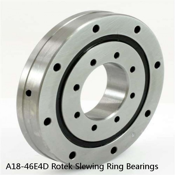 A18-46E4D Rotek Slewing Ring Bearings