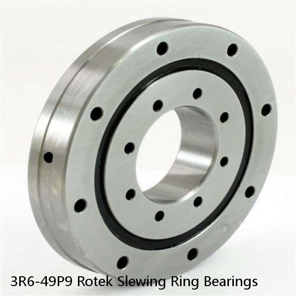 3R6-49P9 Rotek Slewing Ring Bearings