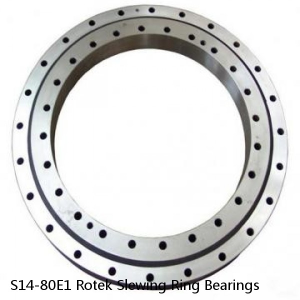 S14-80E1 Rotek Slewing Ring Bearings