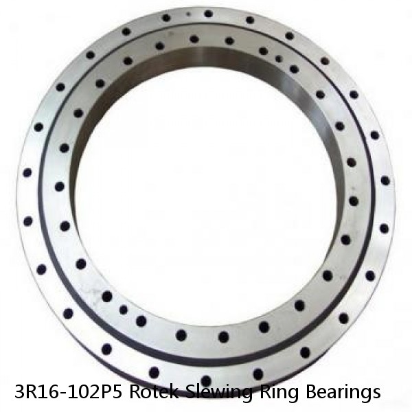 3R16-102P5 Rotek Slewing Ring Bearings