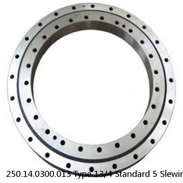 250.14.0300.013 Type 13/4 Standard 5 Slewing Ring Bearings