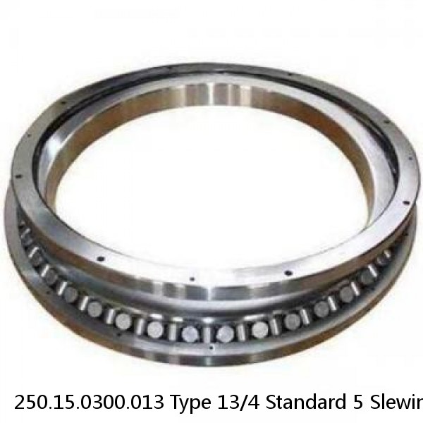 250.15.0300.013 Type 13/4 Standard 5 Slewing Ring Bearings