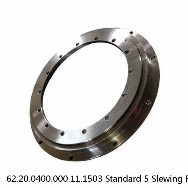 62.20.0400.000.11.1503 Standard 5 Slewing Ring Bearings