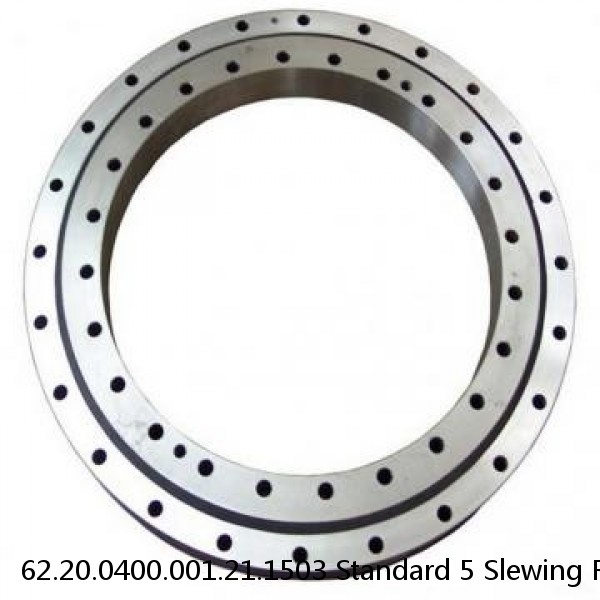 62.20.0400.001.21.1503 Standard 5 Slewing Ring Bearings