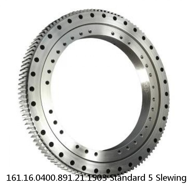 161.16.0400.891.21.1503 Standard 5 Slewing Ring Bearings