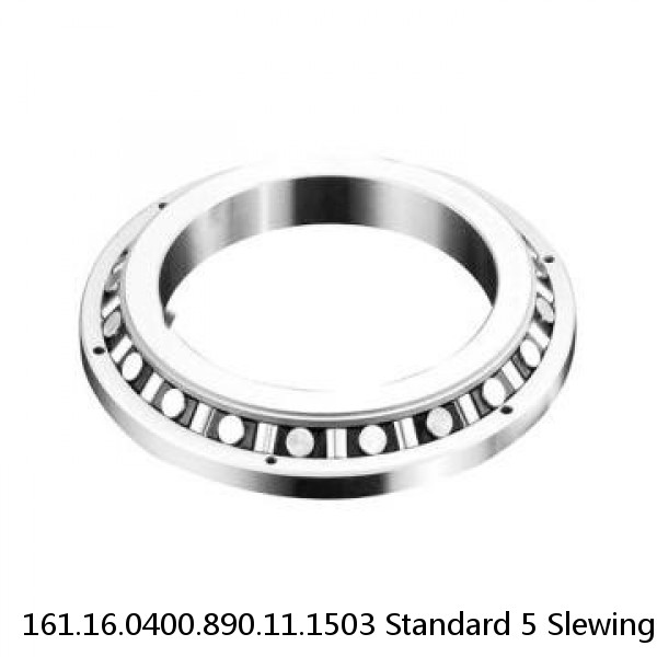 161.16.0400.890.11.1503 Standard 5 Slewing Ring Bearings