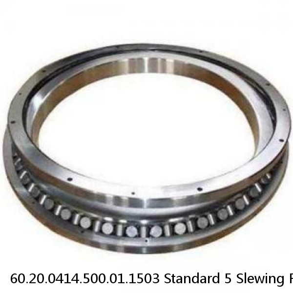 60.20.0414.500.01.1503 Standard 5 Slewing Ring Bearings