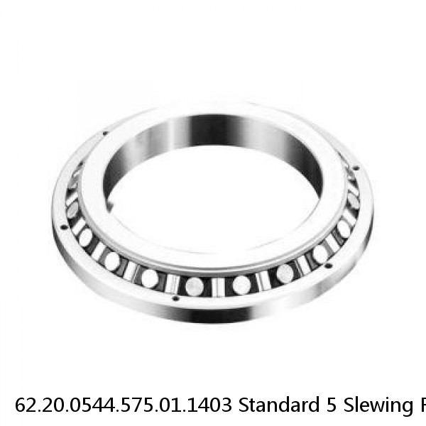 62.20.0544.575.01.1403 Standard 5 Slewing Ring Bearings