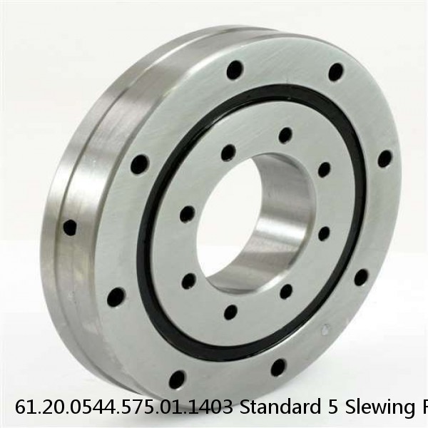 61.20.0544.575.01.1403 Standard 5 Slewing Ring Bearings