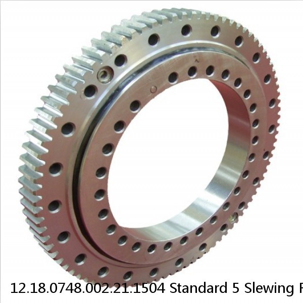 12.18.0748.002.21.1504 Standard 5 Slewing Ring Bearings