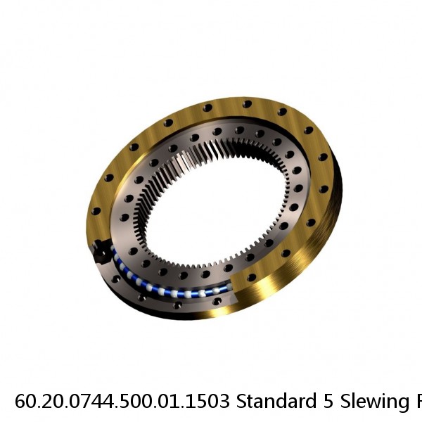 60.20.0744.500.01.1503 Standard 5 Slewing Ring Bearings