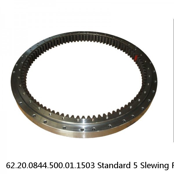 62.20.0844.500.01.1503 Standard 5 Slewing Ring Bearings