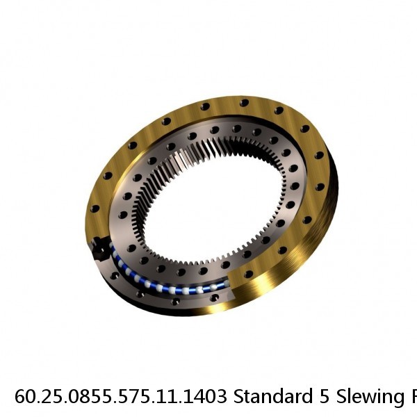 60.25.0855.575.11.1403 Standard 5 Slewing Ring Bearings